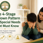 The 4-Stage Meltdown Pattern Every Special Needs Parent Must Know